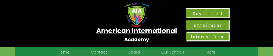 American International Academy